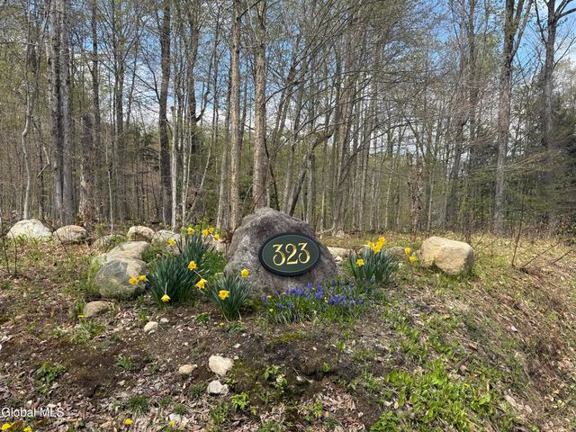 323 N Shore Rd Peck, Gloversville, NY 12078