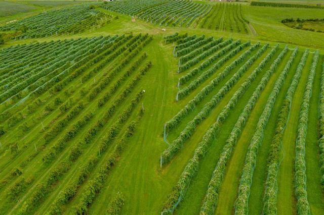 S3424 Peterson Lane, Viroqua, WI 54665