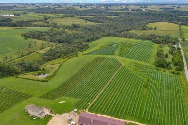 S3424 Peterson Lane, Viroqua, WI 54665