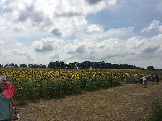 S3424 Peterson Lane, Viroqua, WI 54665