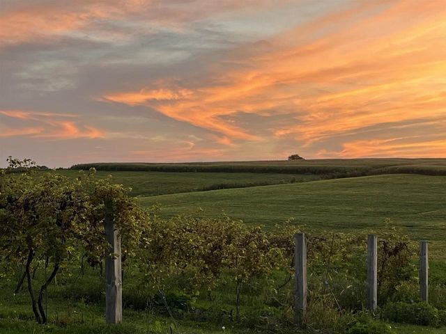 S3424 Peterson Lane, Viroqua, WI 54665