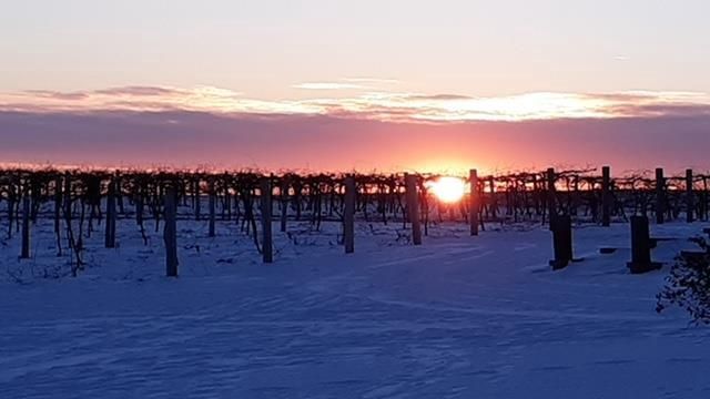 S3424 Peterson Lane, Viroqua, WI 54665