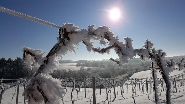 S3424 Peterson Lane, Viroqua, WI 54665