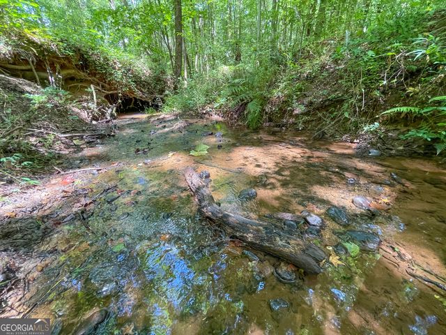 305 West Drive, Roopville, GA 30170