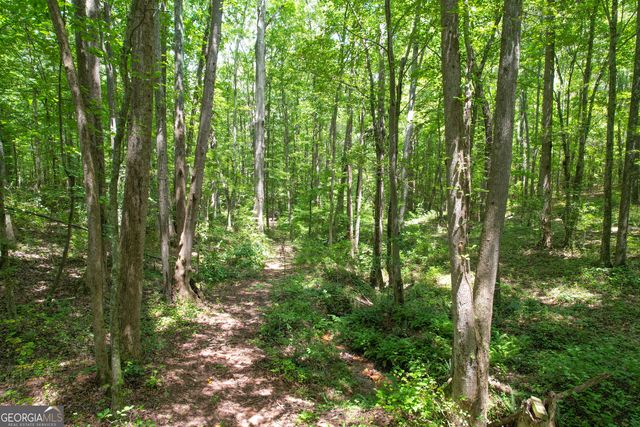 305 West Drive, Roopville, GA 30170