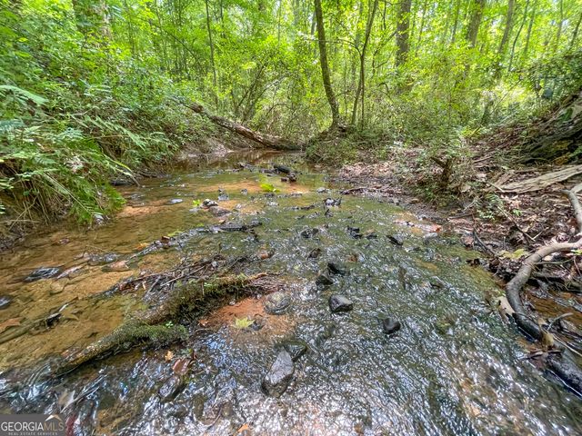 305 West Drive, Roopville, GA 30170