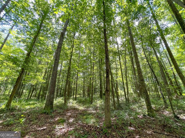 305 West Drive, Roopville, GA 30170