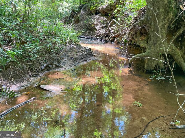 305 West Drive, Roopville, GA 30170