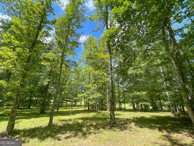 305 West Drive, Roopville, GA 30170