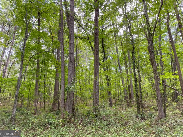 305 West Drive, Roopville, GA 30170