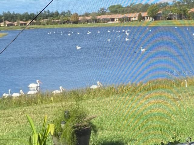 5728 SUNSET FALLS DRIVE, Apollo Beach, FL 33572