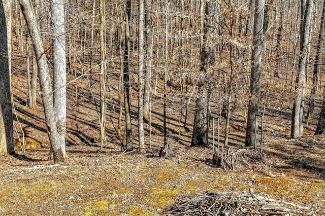 1105 Fairways Dr, Smithville, TN 37166