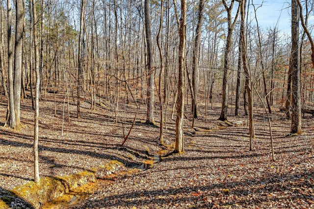 1105 Fairways Dr, Smithville, TN 37166