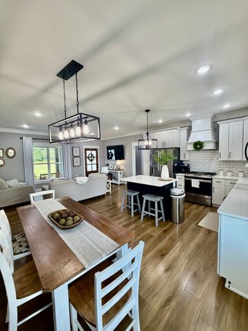 17 Tad Rd, Leoma, TN 38468
