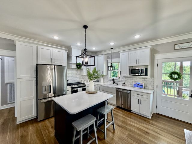 17 Tad Rd, Leoma, TN 38468