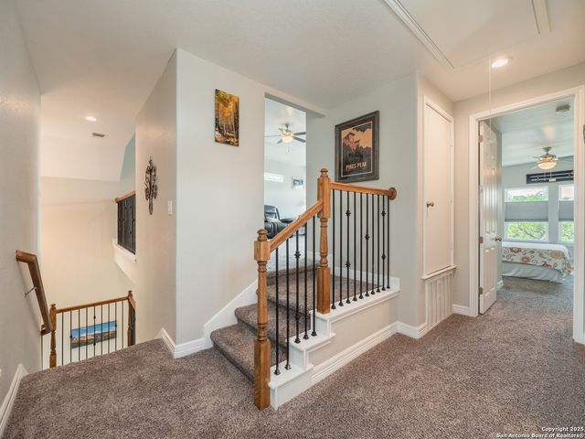 1006 Rock Shelter, San Antonio, TX 78260
