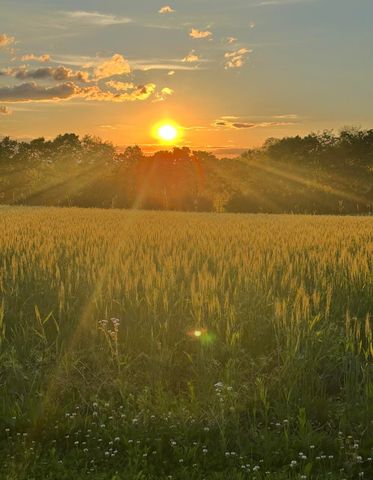 3551 Millersburg Ruddles Mill Road, Paris, KY 40361