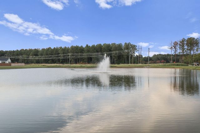 121 Dixie Iris Way, Summerville, SC 29485