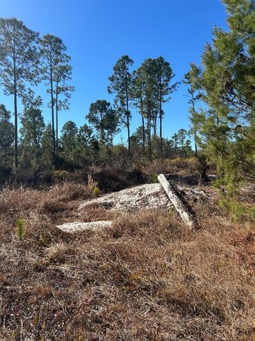 516 Deep River Drive, Lake Placid, FL 33852