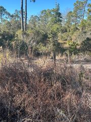 516 Deep River Drive, Lake Placid, FL 33852