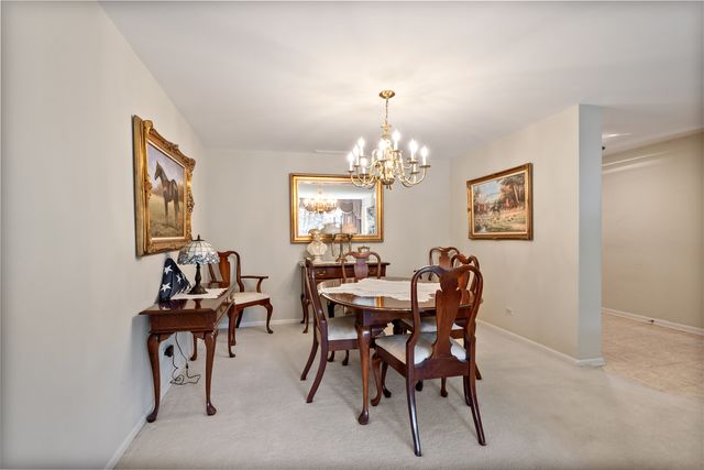 22 Park Lane 204, Park Ridge, IL 60068