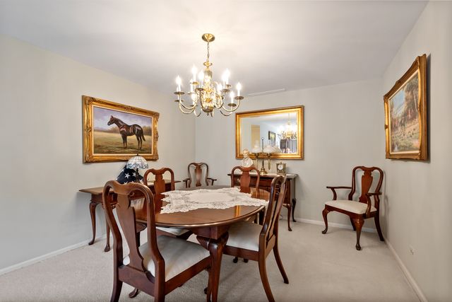 22 Park Lane 204, Park Ridge, IL 60068
