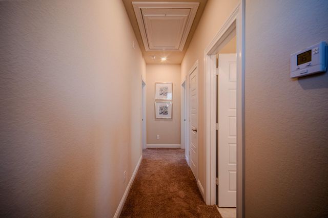 73 Botanical Vista Drive, Tomball, TX 77375