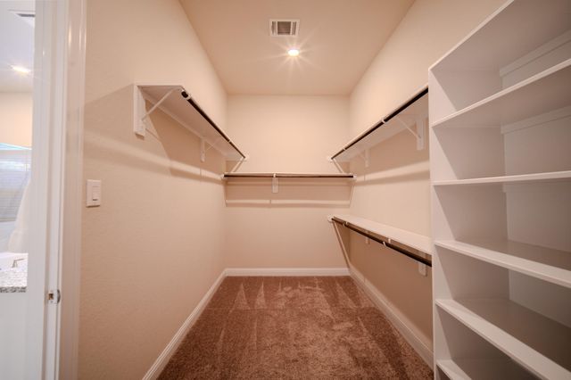 73 Botanical Vista Drive, Tomball, TX 77375
