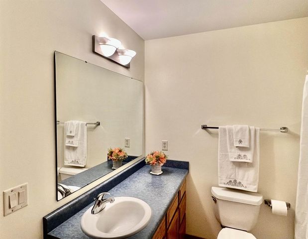 1505 Dayflower Drive, Madison, WI 53719