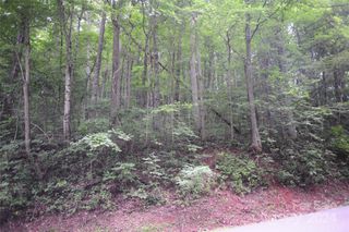 132 Ironwood Lane #C17/C18, Black Mountain, NC 28711