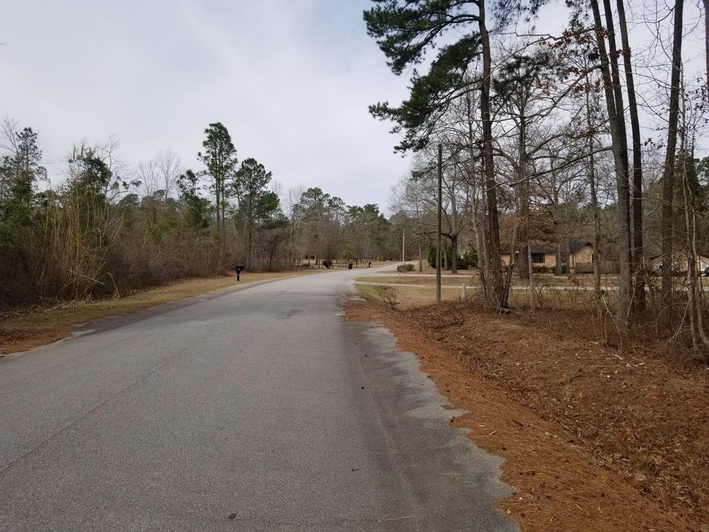 0 Sorin Circle, Elloree, SC 29047