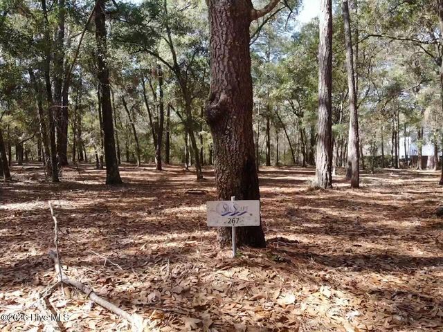 721 Lagare Lane SW, Supply, NC 28462