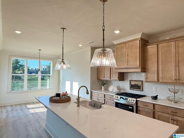 306 LAKE CREEK DRIVE, Guntersville, AL 35976