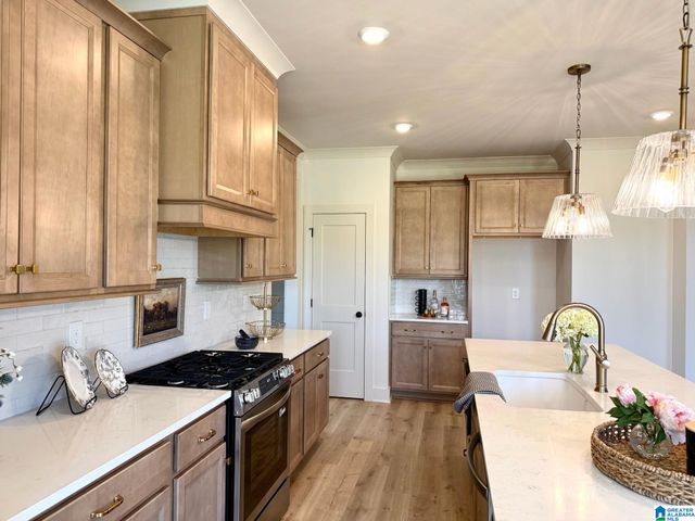 306 LAKE CREEK DRIVE, Guntersville, AL 35976