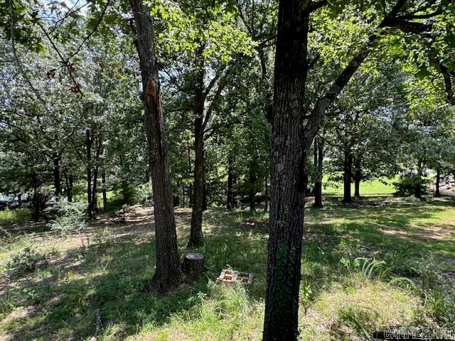 1611 Shelton Cove, Pocahontas, AR 72455