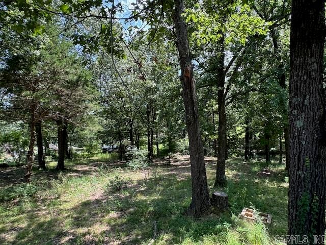 1611 Shelton Cove, Pocahontas, AR 72455