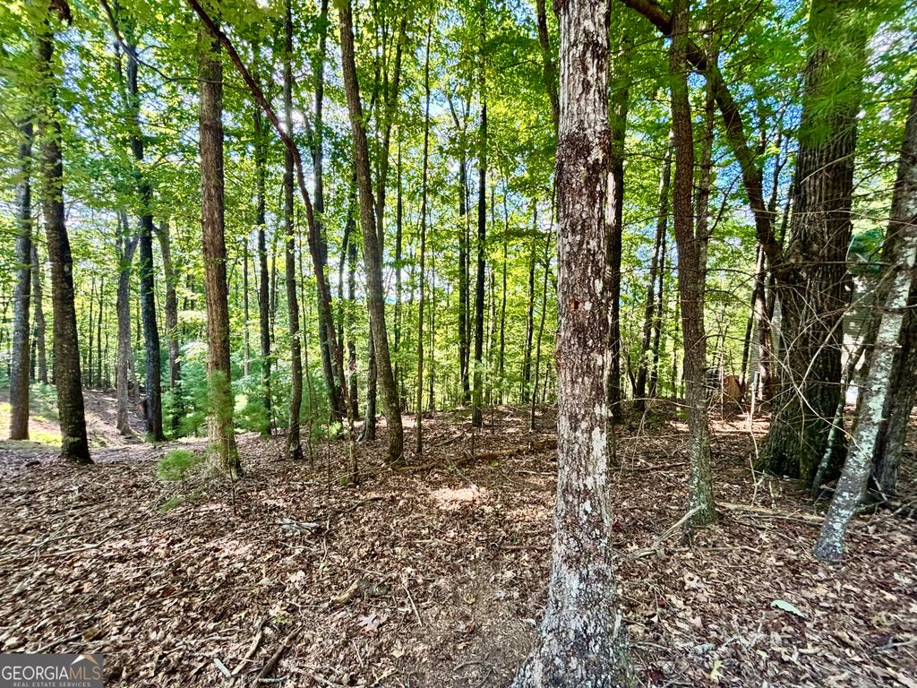 0.55 ACRES Pine Ridge Road, Ellijay, GA 30540