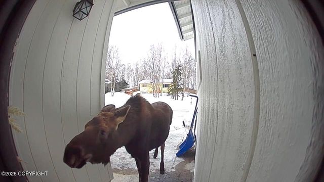 13761 Venus Way, Anchorage, AK 99515