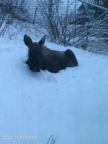 13761 Venus Way, Anchorage, AK 99515