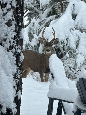 1330 Bishops Lodge Road, Santa Fe, NM 87506