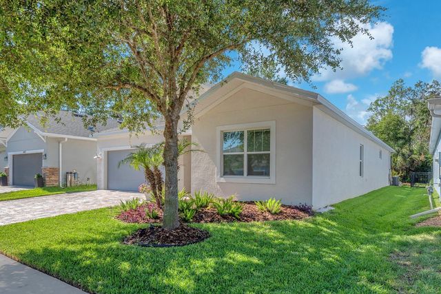 14115 CARISSA MEADOWS COURT, Riverview, FL 33569