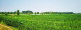 1458 ROCKLAND HEIGHTS ROAD, De Pere, WI 54115