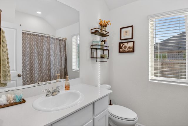 19409 Rosali Meadow Drive, New Caney, TX 77357