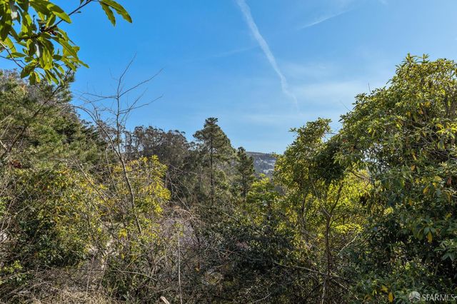 235 Oak Park Drive, San Francisco, CA 94131