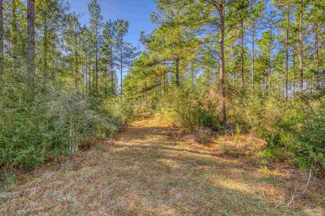 9327 Three Hollow Rd, Jay, FL 32565