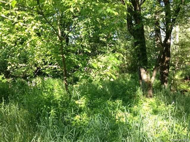 Floral Drive, Monticello, NY 12701