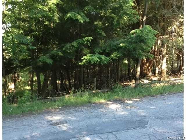 Floral Drive, Monticello, NY 12701