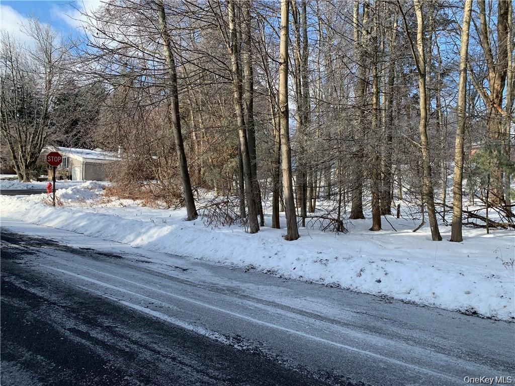 Floral Drive, Monticello, NY 12701