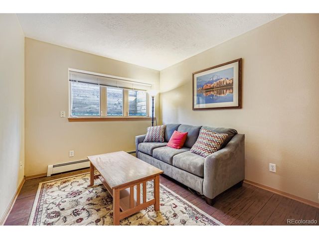 323 Twenty Grand Dr, Silverthorne, CO 80498