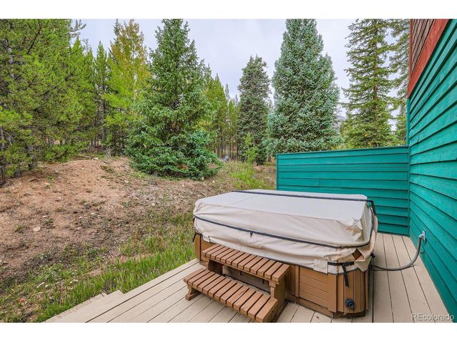 323 Twenty Grand Dr, Silverthorne, CO 80498